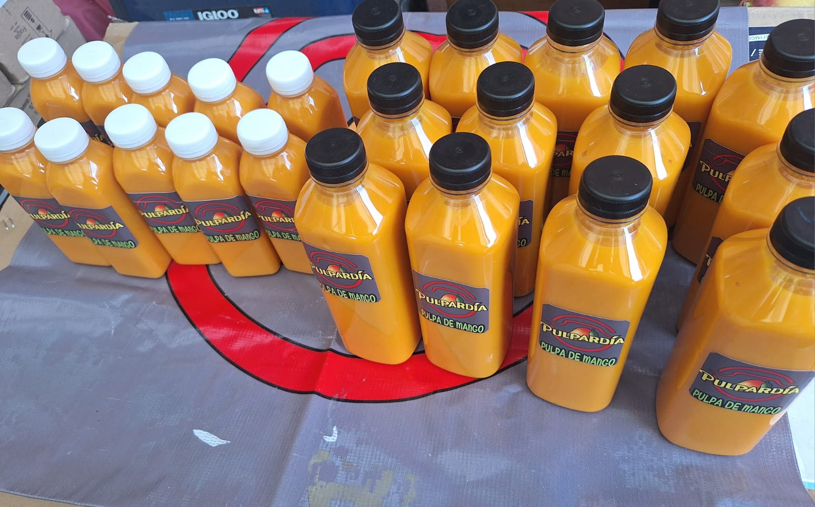 PULPA DE MANGO PULPARDIA